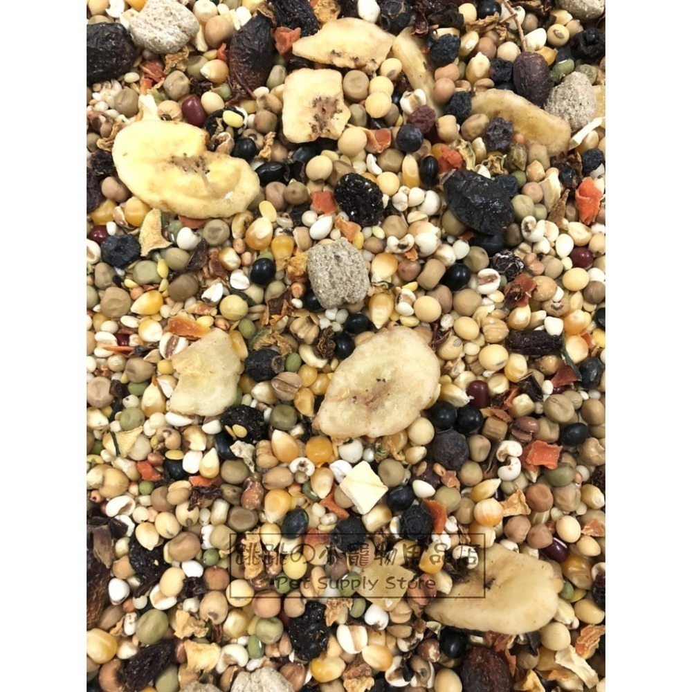 【跳跳】⚡精選特調穀物餐⚡ 特調穀物飼料 倉鼠主食 鼠類主食 鼠飼料 全鼠類主食 倉鼠糧 鼠用主食飼料 寵物鼠糧-規格圖9