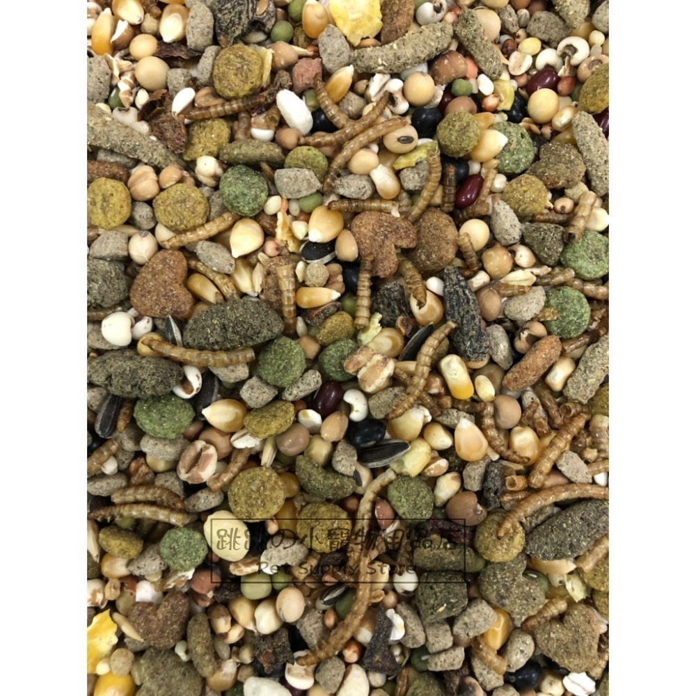 【跳跳】⚡精選特調穀物餐⚡ 特調穀物飼料 倉鼠主食 鼠類主食 鼠飼料 全鼠類主食 倉鼠糧 鼠用主食飼料 寵物鼠糧-規格圖9