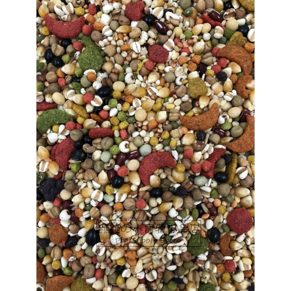 【跳跳】⚡精選特調穀物餐⚡ 特調穀物飼料 倉鼠主食 鼠類主食 鼠飼料 全鼠類主食 倉鼠糧 鼠用主食飼料 寵物鼠糧-規格圖9