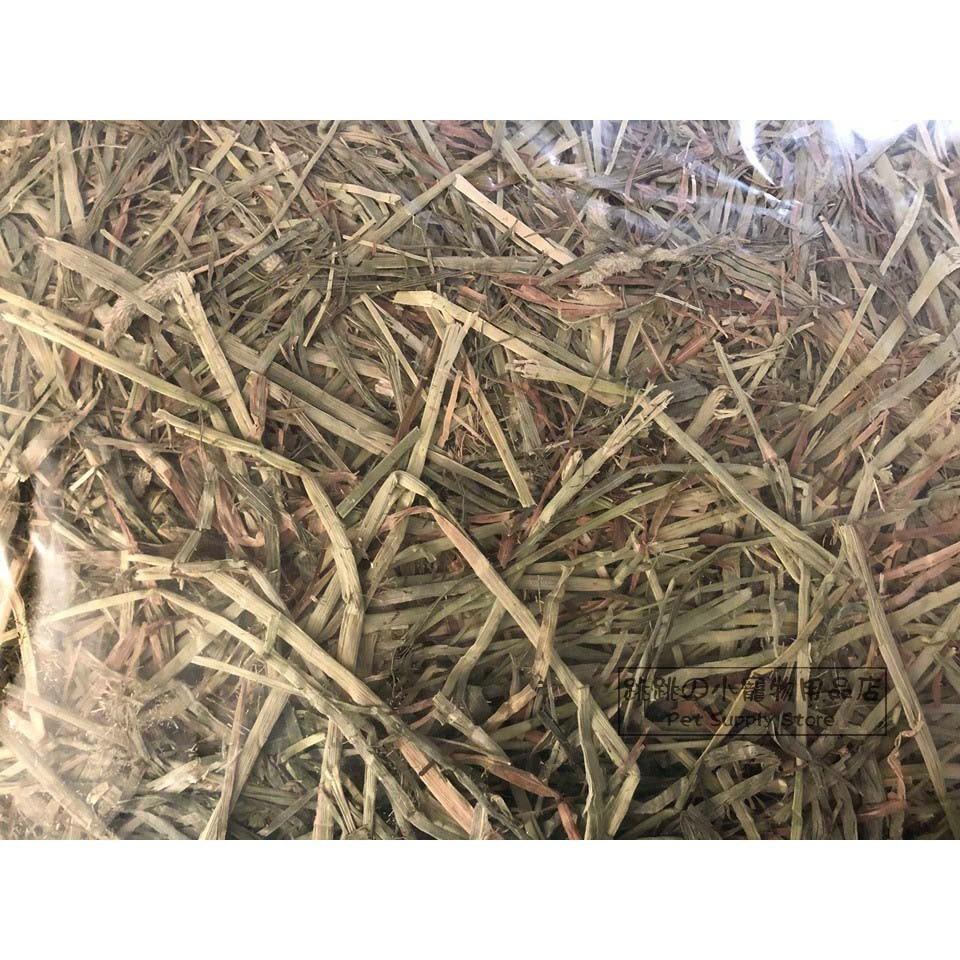 《過篩短草》提摩西一番割【500g】