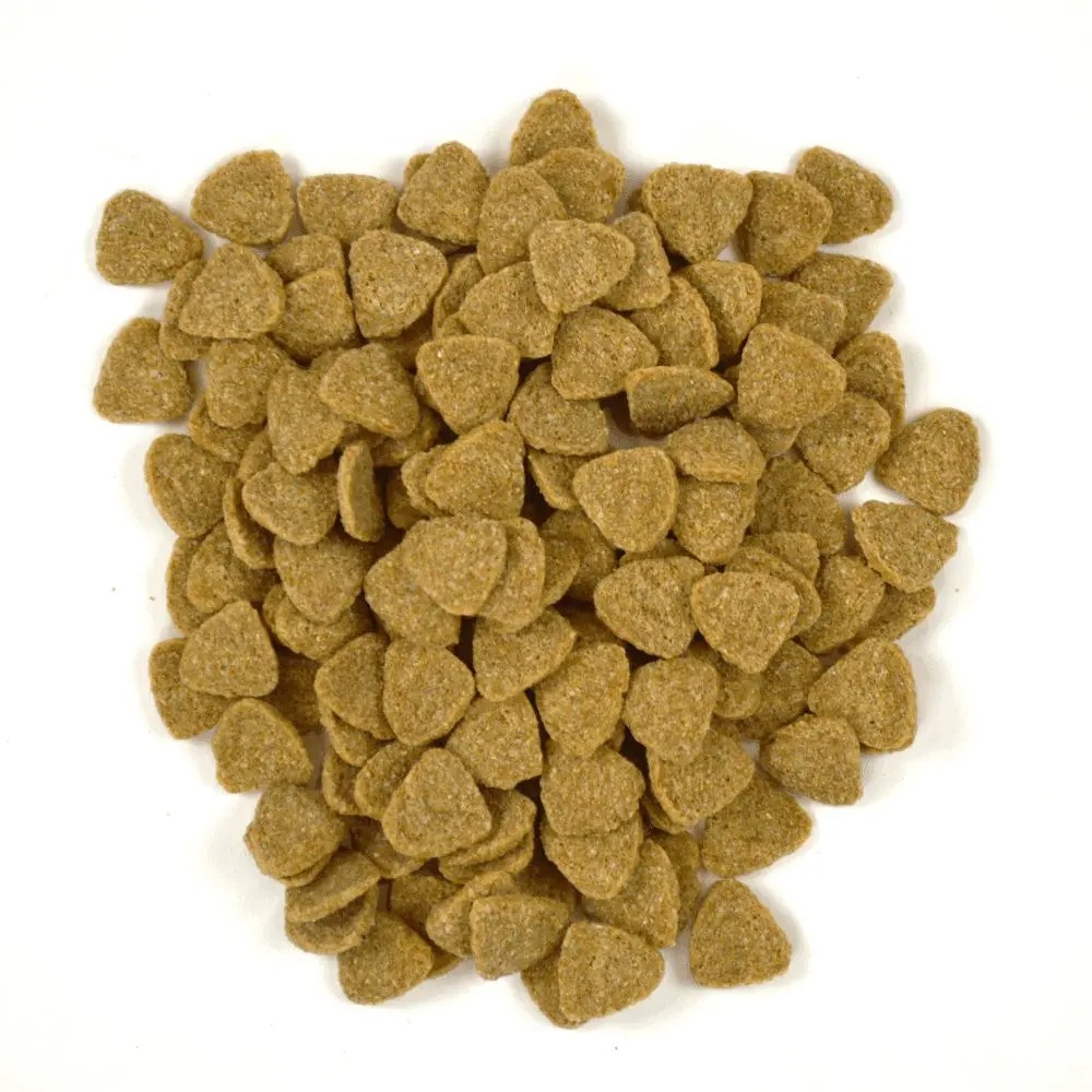 【現貨】快速出貨 OXBOW 大鼠主食 花枝鼠糧 倉鼠飼料 大白鼠飼料 大寵鼠飼料 倉鼠主食 鼠飼料 寵物鼠飼料-細節圖4