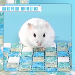 【現貨】小寵水晶涼蓆 小寵散熱 倉鼠冰涼水晶床 倉鼠冰墊 寵物降溫 小寵消暑用品 兔子涼席 倉鼠天竺鼠兔子消暑用品-細節圖5