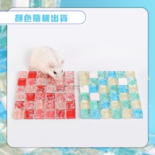 【現貨】小寵水晶涼蓆 小寵散熱 倉鼠冰涼水晶床 倉鼠冰墊 寵物降溫 小寵消暑用品 兔子涼席 倉鼠天竺鼠兔子消暑用品-細節圖6