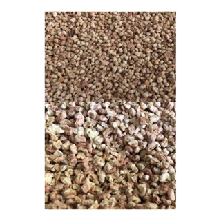 【現貨】🔜快速出貨🚚 JRS 玉米粒 玉米梗墊材墊料 大顆粒 小顆粒 黃金鼠倉鼠刺蝟小動物墊材 1kg分裝包-細節圖2