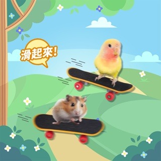 【現貨】小寵擺拍玩具 倉鼠滑板 倉鼠手推車 倉鼠手推磨盤 小寵玩具 小動物玩具 鸚鵡玩具 鸚鵡滑板 小寵互動玩具-細節圖3