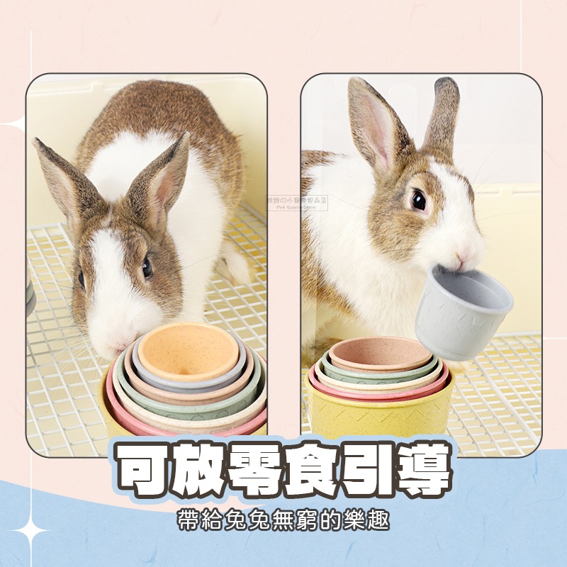 【現貨】兔子疊疊杯玩具 兔子益智玩具 兔子訓練 解悶玩具 發洩啃咬 寵物互動玩具 小寵用品 兔子玩具 豚鼠 天竺鼠玩具-細節圖4