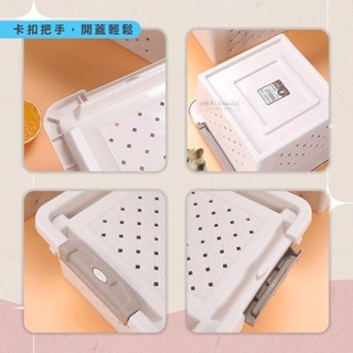 【現貨】小寵運輸盒 倉鼠運輸籠 倉鼠外出籠 打孔運輸盒 透氣整理箱 倉鼠用品 黃金鼠三線鼠外出籠 倉鼠籠 小寵物箱-細節圖4