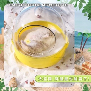 【現貨】倉鼠環景浴室 景觀浴室 倉鼠透明屋 盥洗室 倉鼠窩 倉鼠浴室 小寵透明窩 黃金鼠 倉鼠廁所 鼠砂盆 倉鼠用品-細節圖7