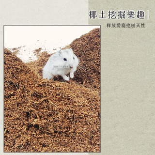 【現貨】小寵造景用椰土 椰殼纖維 倉鼠造景墊材 小動物墊材 小寵墊料 小動物紙墊料 鼠用椰土墊料 黃金鼠倉鼠墊材-細節圖3