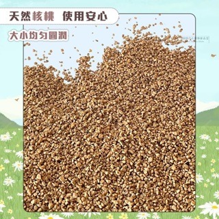 【現貨】小寵用核桃砂墊料 倉鼠墊料 小寵墊材/墊料 蘆丁雞墊料 蘆丁雞專用核桃砂墊料 天然核桃砂 蘆丁雞專用墊料-細節圖3