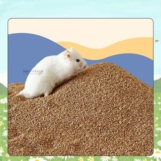 【現貨】小寵用核桃砂墊料 倉鼠墊料 小寵墊材/墊料 蘆丁雞墊料 蘆丁雞專用核桃砂墊料 天然核桃砂 蘆丁雞專用墊料-細節圖5