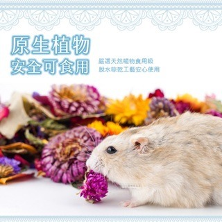 【現貨】JONSANTY 寵尚天 花草墊料 倉鼠乾花墊料 除臭墊料 造景用品 倉鼠墊料 小寵用品 天然花草墊料純花墊料-細節圖2