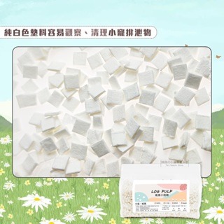 【現貨】 小寵用吸水方片 小寵紙漿墊料 紙纖維墊材 小寵墊料 紙墊材 倉鼠墊料 倉鼠小動物墊材 厚鋪墊料 低塵墊料-細節圖3
