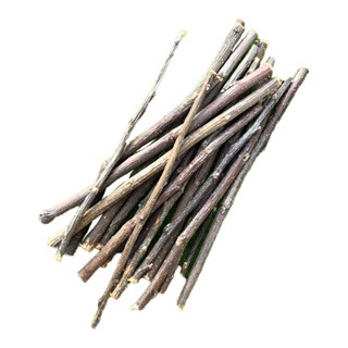 【現貨】🔜快速出貨🚚 蘋果樹枝 蘋果枝 鼠兔磨牙棒 倉鼠/兔子/龍貓/蜜袋鼯/鳥/小動物/齧齒類磨牙用品-細節圖2