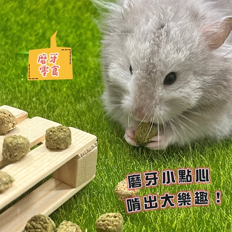 【現貨】小動物用燕麥水果磨牙球 倉鼠零食 黃金鼠 鼠兔零食 兔子零食 兔用磨牙 天竺鼠 小寵零食 小動物點心 小動物-細節圖3