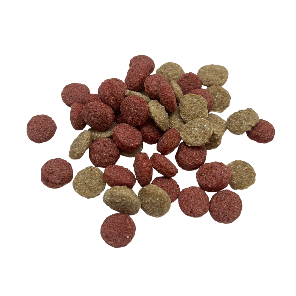 【現貨】小動物穀物脆球 單個販售 鼠兔零食 鼠零食 倉鼠零食 黃金鼠 寵物鼠零食 倉鼠點心 小動物點心 小動物零食-細節圖2