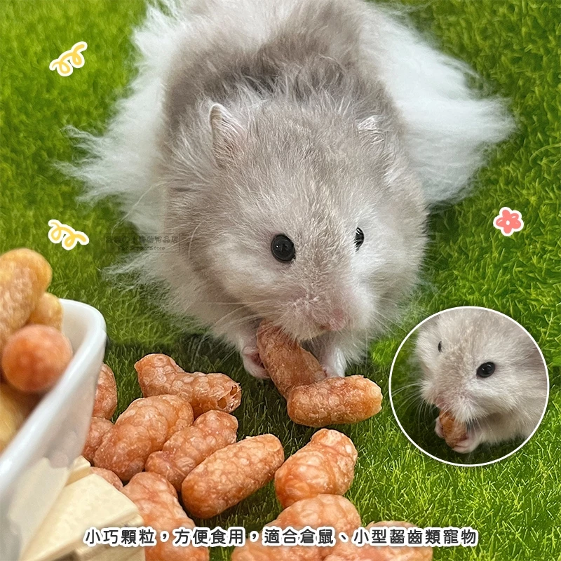【現貨】倉鼠用生肉粒 黃金鼠 三線鼠 布丁鼠 寵物鼠零食 倉鼠點心 鼠零食 鼠用磨牙零食 鼠用肉粒 倉鼠零食 熊鼠-細節圖3