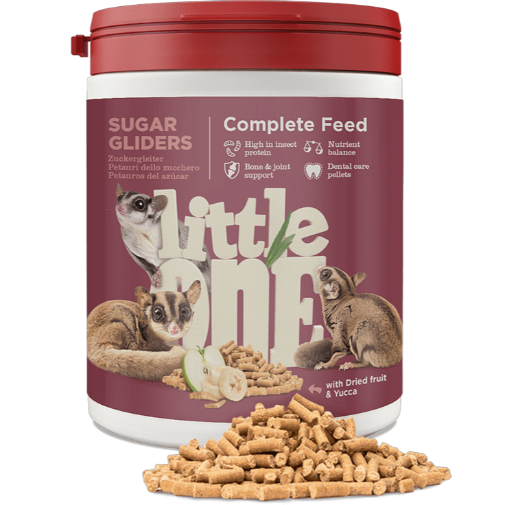 【現貨】Little One 營養完善飼料 蜜袋鼯飼料 蜜袋鼯專用飼料 主食飼料 蜜袋鼯專用主食 蛋白質 450g-細節圖2