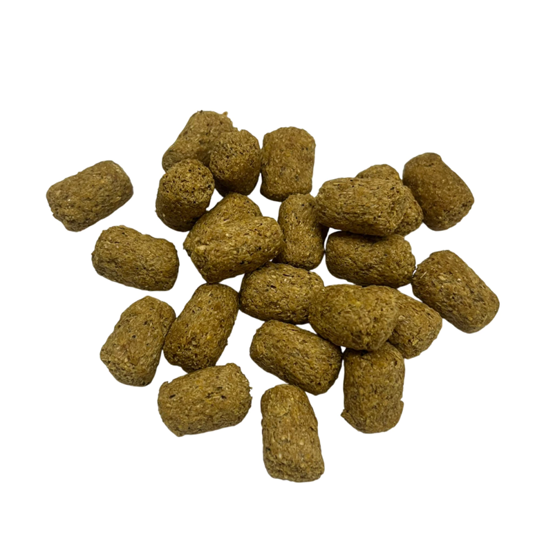 【現貨】小動物乖乖點心 單個販售 寵物鼠 黃金鼠 熊鼠 倉鼠零食 倉鼠點心 乖乖造型餅乾 布丁鼠 波利 寵物鼠小餅乾-細節圖2