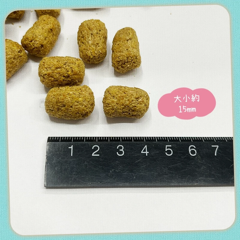 【現貨】小動物乖乖點心 單個販售 寵物鼠 黃金鼠 熊鼠 倉鼠零食 倉鼠點心 乖乖造型餅乾 布丁鼠 波利 寵物鼠小餅乾-細節圖3