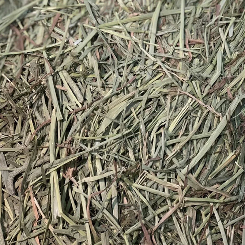 【現貨】爬蟲用牧草墊料 陸龜 守宮 爬蟲墊料 蜥蜴 牧草墊料 乾草墊料 牧草木屑 混合草墊 混合牧草堆 牧草墊料 爬蟲-細節圖2