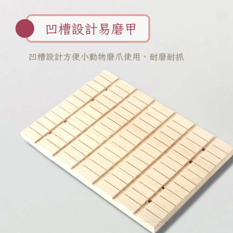 【現貨】🔜快速出貨🚚 小寵用磨甲板 小寵磨甲片 龍貓磨甲片 天竺鼠磨甲片 兔用磨甲片 小動物專用磨甲片 鼠兔磨甲片-細節圖3