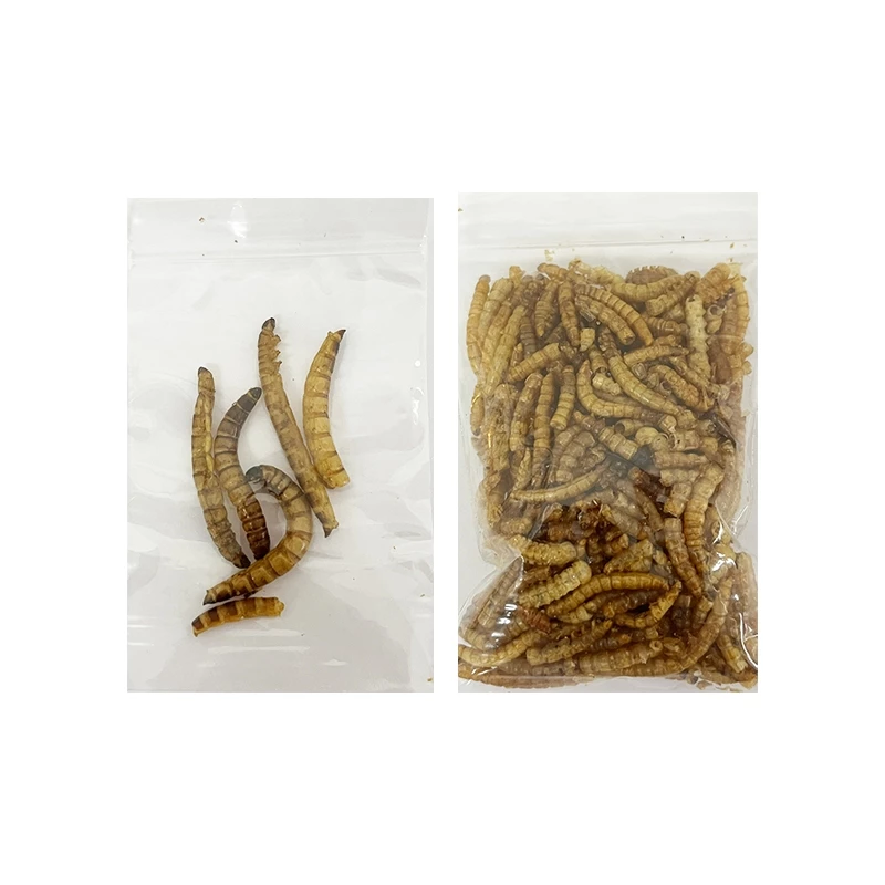 【現貨】 蟲乾試吃包 大麥蟲乾 麵包蟲乾 超級麵包蟲 刺蝟 倉鼠 寵物鼠 蜜袋鼯 爬蟲類 蜥蜴 鳥類 觀賞魚 兩棲爬蟲-細節圖2