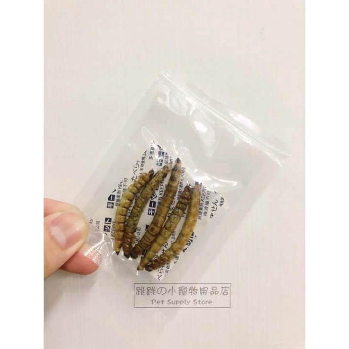 【現貨】 蟲乾試吃包 大麥蟲乾 麵包蟲乾 超級麵包蟲 刺蝟 倉鼠 寵物鼠 蜜袋鼯 爬蟲類 蜥蜴 鳥類 觀賞魚 兩棲爬蟲-細節圖3