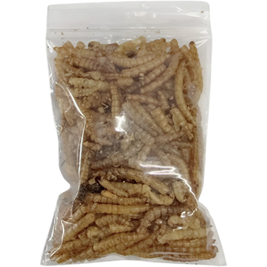 【現貨】 蟲乾試吃包 大麥蟲乾 麵包蟲乾 超級麵包蟲 刺蝟 倉鼠 寵物鼠 蜜袋鼯 爬蟲類 蜥蜴 鳥類 觀賞魚 兩棲爬蟲-規格圖4