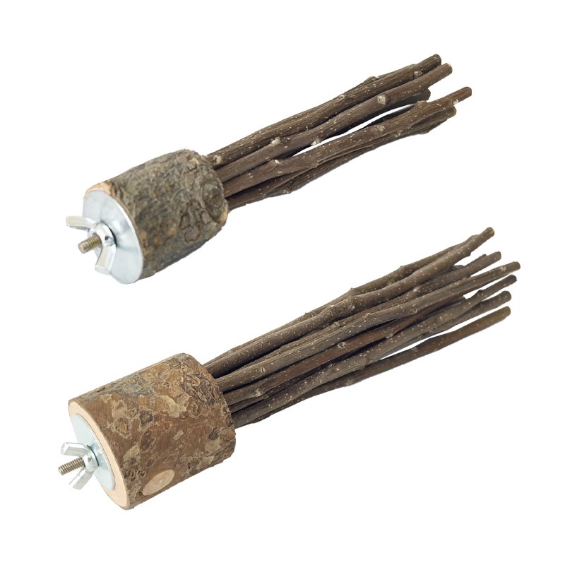 【現貨】蘋果樹枝站立棒 小動物磨牙木 蘋果木 龍貓咬木 木製玩具 小寵物咬木棒 可啃咬站立棒 鳥玩具 鸚鵡 磨牙啃咬-細節圖2