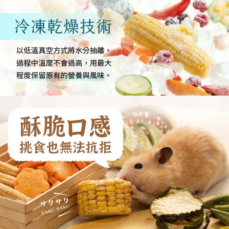 【現貨】角落特寵 小寵鮮摘蔬果凍乾零食 倉鼠零食 黃金鼠零食 小寵凍乾 小寵零食 鼠兔點心 玉米筍 櫛瓜 秋葵 紅蘿蔔-細節圖3