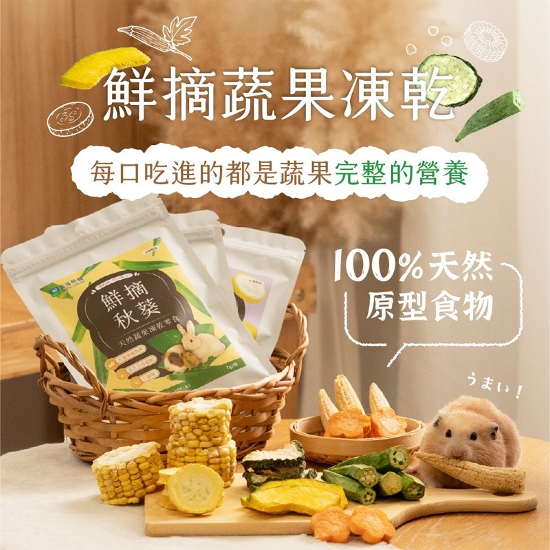 【現貨】角落特寵 小寵鮮摘蔬果凍乾零食 倉鼠零食 黃金鼠零食 小寵凍乾 小寵零食 鼠兔點心 玉米筍 櫛瓜 秋葵 紅蘿蔔-細節圖4