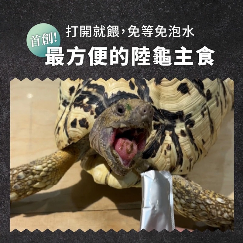 【現貨】 角落特寵 陸龜高纖野菜泥主食 陸龜 王者蜥 鬣蜥 草食型 爬蟲 免泡水 陸龜飼料 主食 蘇卡達-細節圖3