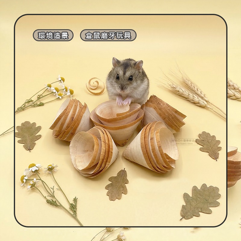 【現貨】小動物陀螺磨牙木捲 倉鼠玩具 木製玩具 磨牙 倉鼠用品 黃金鼠 倉鼠磨牙木捲 啃咬 倉鼠造景 倉鼠籠環境佈置-細節圖4