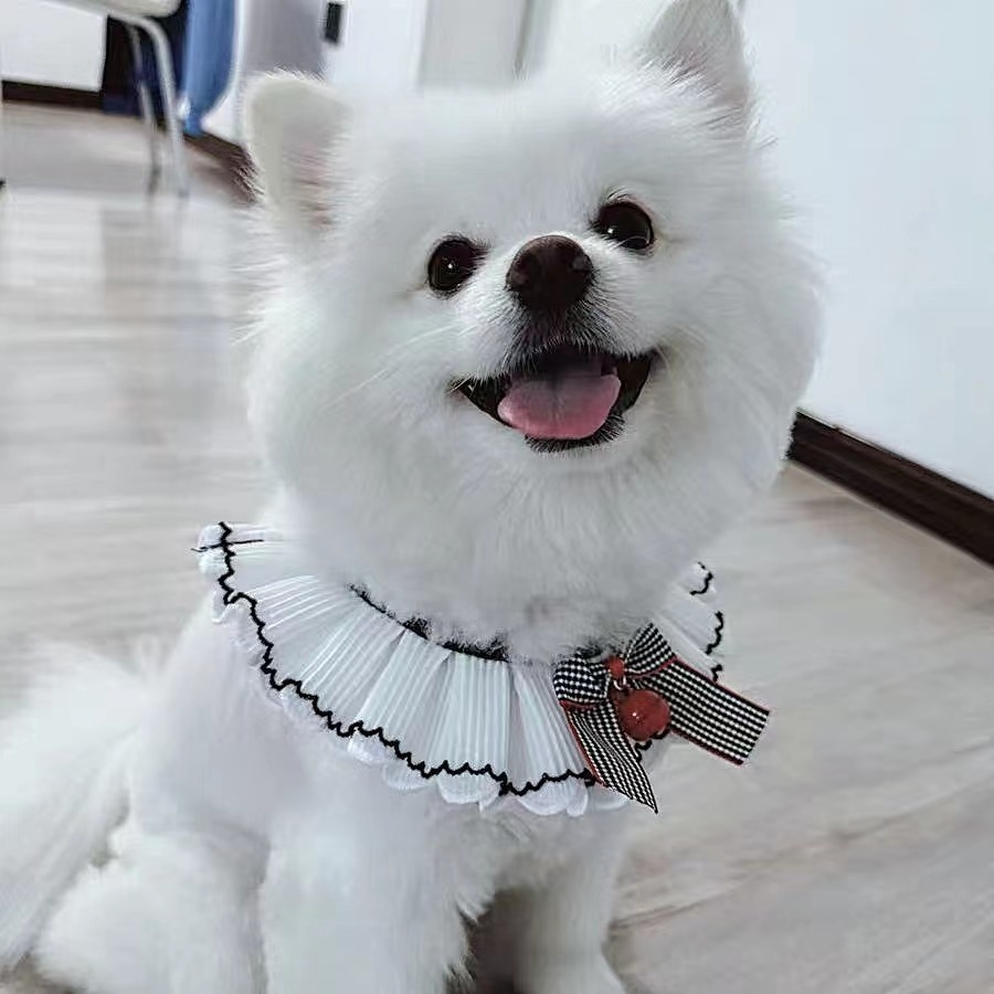 新款布偶英短貓咪可愛純棉蕾絲口水巾泰迪比熊狗狗三角巾圍脖項圈【S-小型4-6斤】-規格圖5