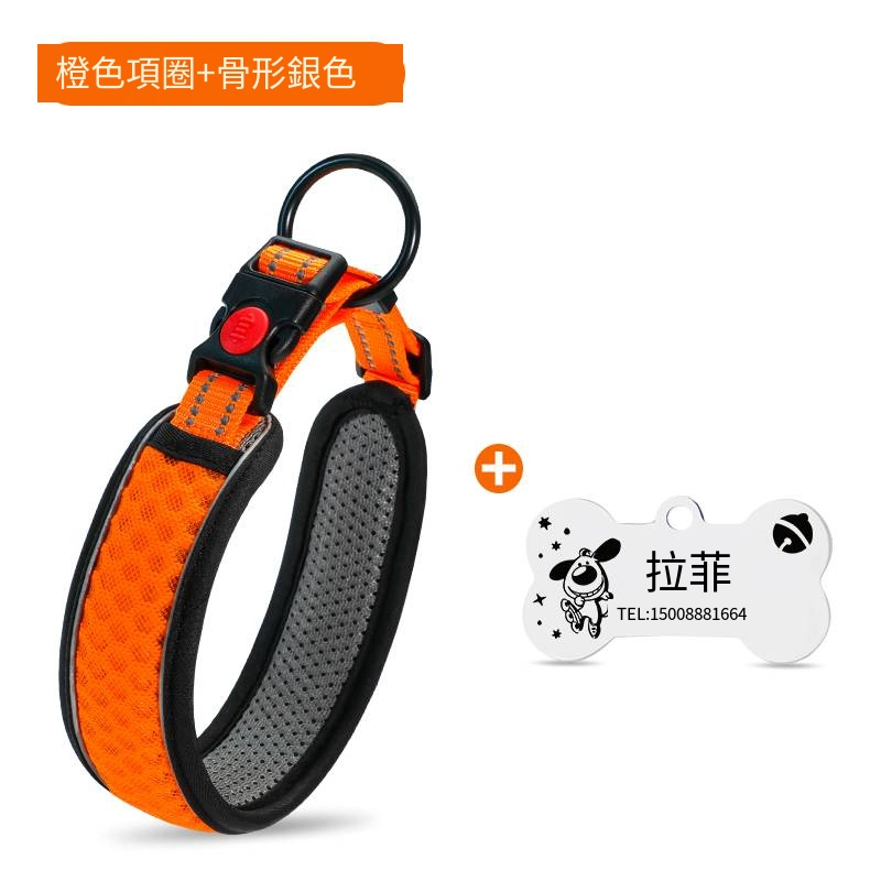 橙色項圈+5m自動伸縮牽引