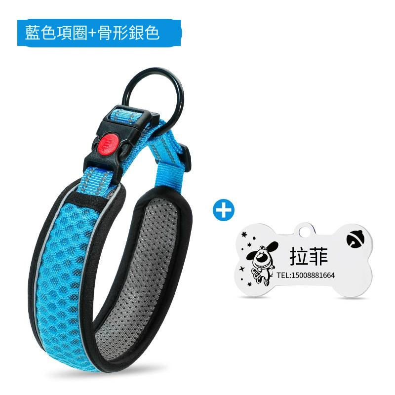 藍色項圈+5m自動伸縮牽引