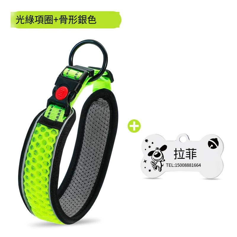 熒光綠項圈+5m自動伸縮牽引