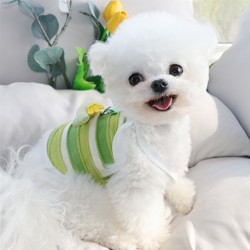 🌟急速發貨🌟小魚吊帶小狗狗衣服夏季薄款比熊泰迪雪納瑞寵物小型幼犬春夏背心-細節圖2