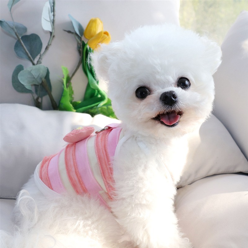 🌟急速發貨🌟小魚吊帶小狗狗衣服夏季薄款比熊泰迪雪納瑞寵物小型幼犬春夏背心-細節圖3