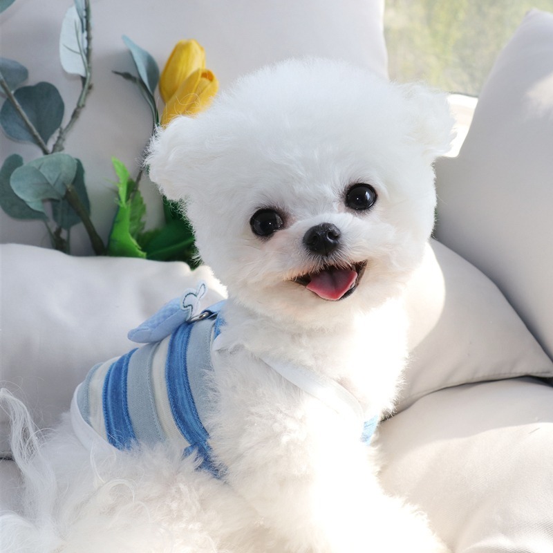 🌟急速發貨🌟小魚吊帶小狗狗衣服夏季薄款比熊泰迪雪納瑞寵物小型幼犬春夏背心-細節圖4