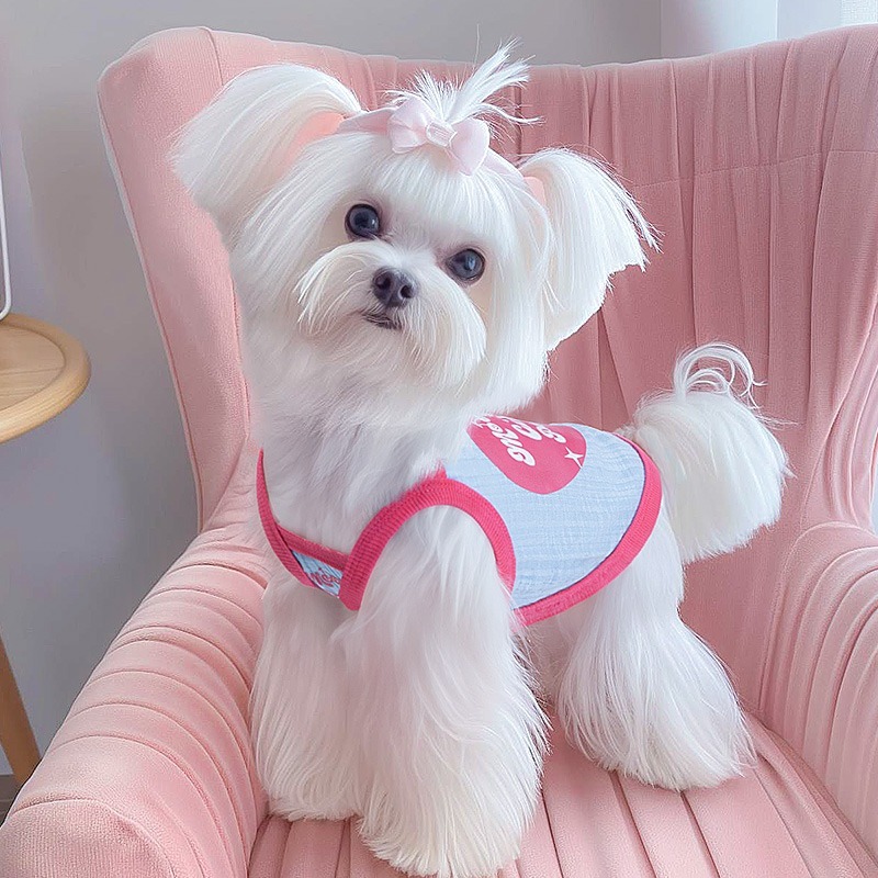 🌟快速出貨🌟貓咪衣服夏季天防掉毛薄款吊帶背心純棉寵物德文藍無毛貓布偶小狗-細節圖5