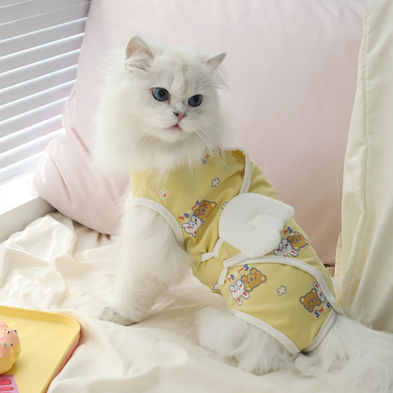 黃底小熊護肚衣 春秋薄款