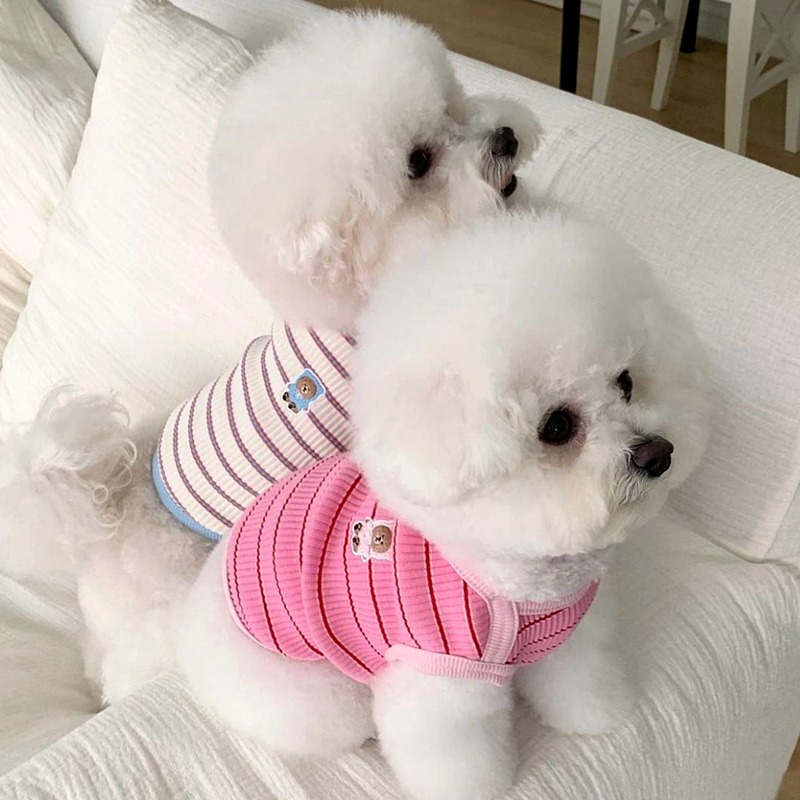 夏季薄款寵物背心比熊博美泰迪貓咪小型幼犬雪納瑞狗狗衣服夏天-細節圖2