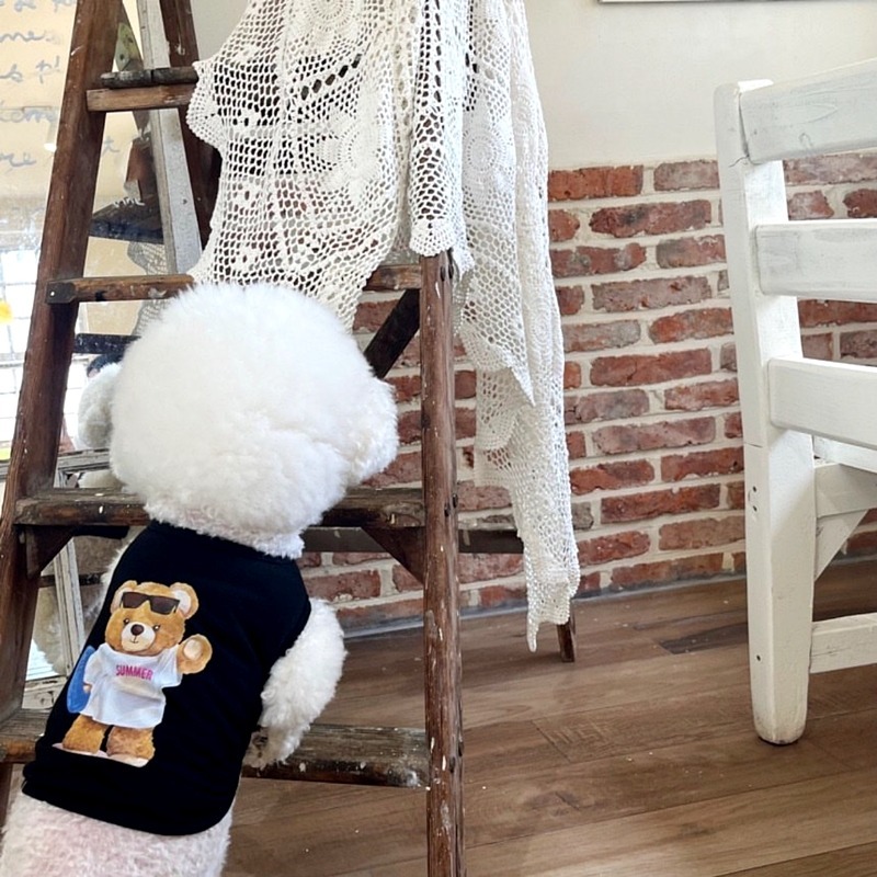 立體小花寵物狗狗衣服可牽引比熊泰迪博美小型幼犬約克夏馬爾濟斯-規格圖6