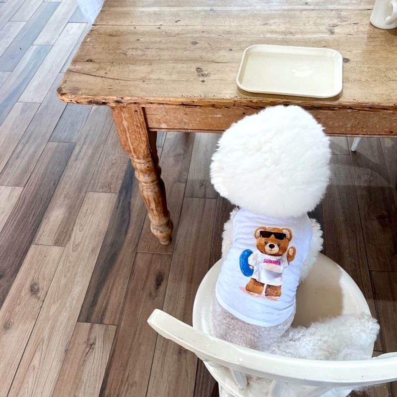 立體小花寵物狗狗衣服可牽引比熊泰迪博美小型幼犬約克夏馬爾濟斯-規格圖6