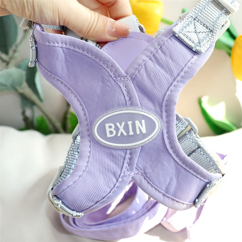 狗狗牽引繩泰迪胸揹帶中型小型犬遛狗繩子比熊小狗狗背心式狗鏈子-細節圖2