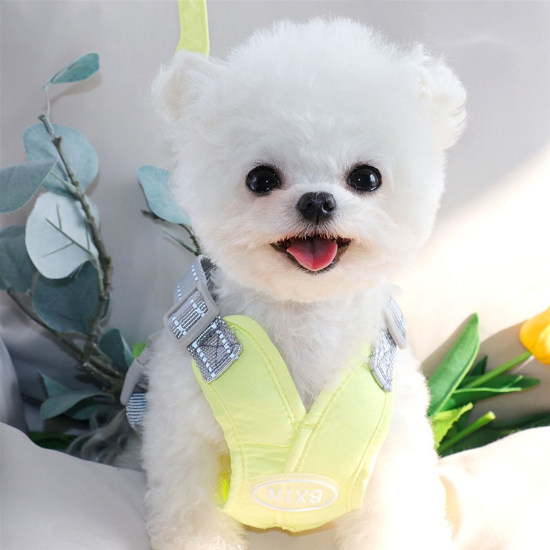 狗狗牽引繩泰迪胸揹帶中型小型犬遛狗繩子比熊小狗狗背心式狗鏈子-細節圖3