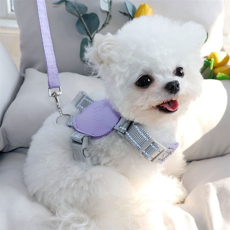 狗狗牽引繩泰迪胸揹帶中型小型犬遛狗繩子比熊小狗狗背心式狗鏈子-細節圖4