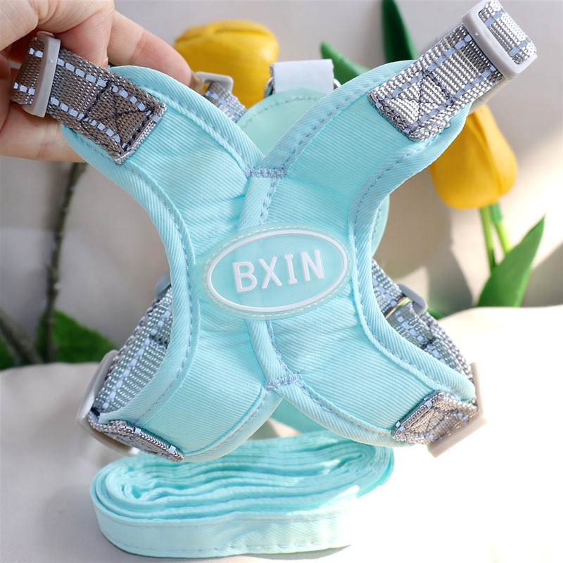 狗狗牽引繩泰迪胸揹帶中型小型犬遛狗繩子比熊小狗狗背心式狗鏈子-規格圖5